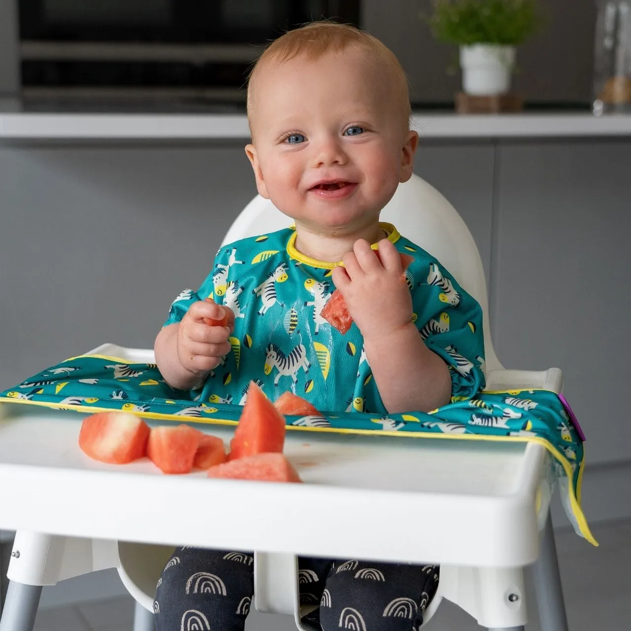 Tidy Tot Cover & Catch Bib (Short Sleeve) - Dancing Zebra